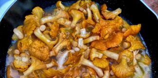 Czy szukamy patelni?