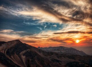 Do której godziny latają pszczoły?