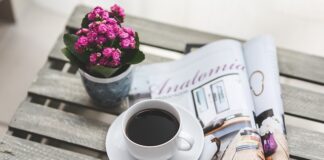 Jak zrobić pająka z gazety?