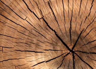 Ile drewna dziennie spala się w kominku?
