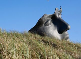 Jak uspokoić pszczoły?