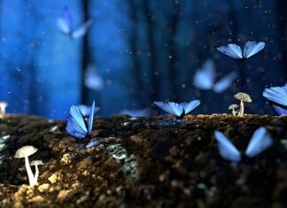 Czy mokre drewno się pali?