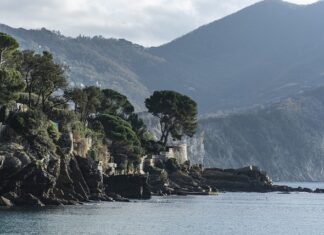 Ile kosztuje 1 ul z pszczołami? Ile kosztuje 1 ul z pszczołami?