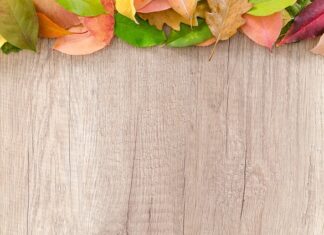 Ile trzeba się odsunąć od granicy działki?