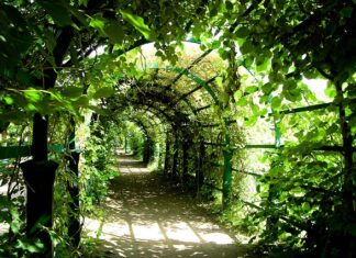 Czy Pergola to obiekt małej architektury? Czy Pergola to obiekt małej architektury?