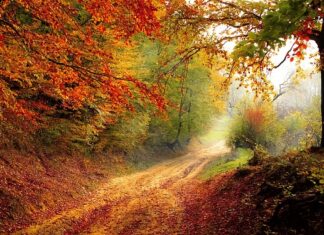 Jaki powinien być spadek dachu na tarasie? Jaki powinien być spadek dachu na tarasie?