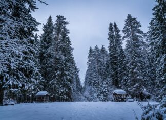 Jaka powinna być wysokość altany? Jaka powinna być wysokość altany?