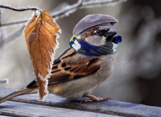 Jak tanio ogrzać wodę w basenie?